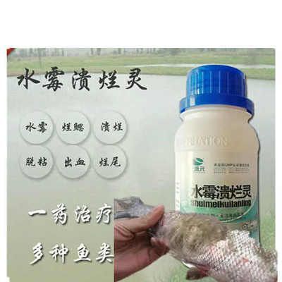 水霉病專用治療劑的使用方法：水霉病專用治療劑使用方法