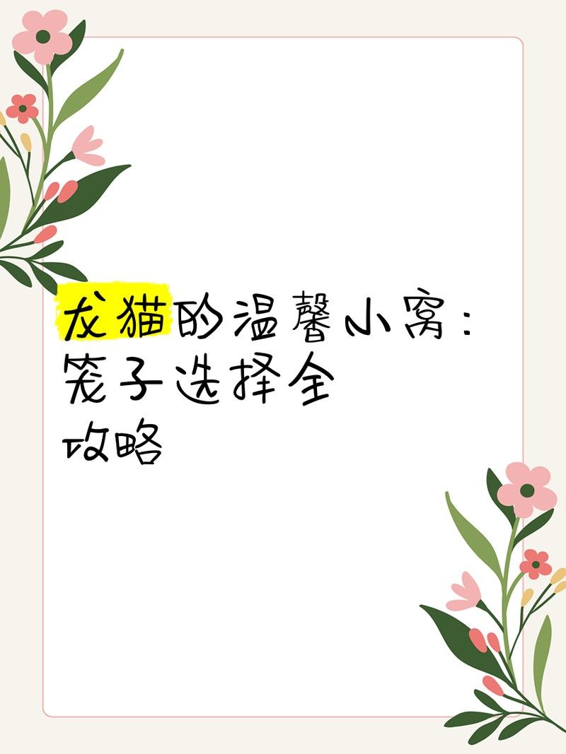 龍貓籠子的大小應該如何選擇？