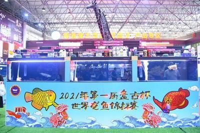 盤古杯世界龍魚錦標(biāo)賽冠軍獎(jiǎng)金多少元（2021年盤古杯世界龍魚錦標(biāo)賽冠軍獎(jiǎng)金為10萬元）