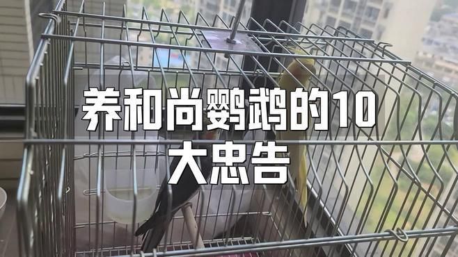 藍和尚最不建議養的原因