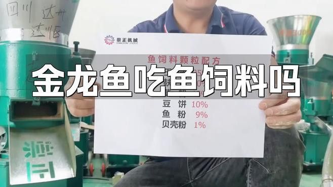 金龍魚可以喂飼料嗎