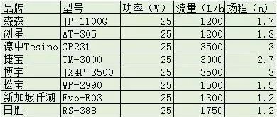 高背紅龍魚需要多大的過濾系統
