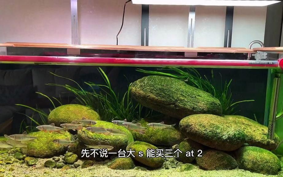 魔點水草燈和尼特利燈哪個好