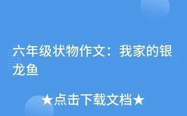 龍魚的選擇和鑒賞怎么寫作文300字（龍魚的選擇和鑒賞）