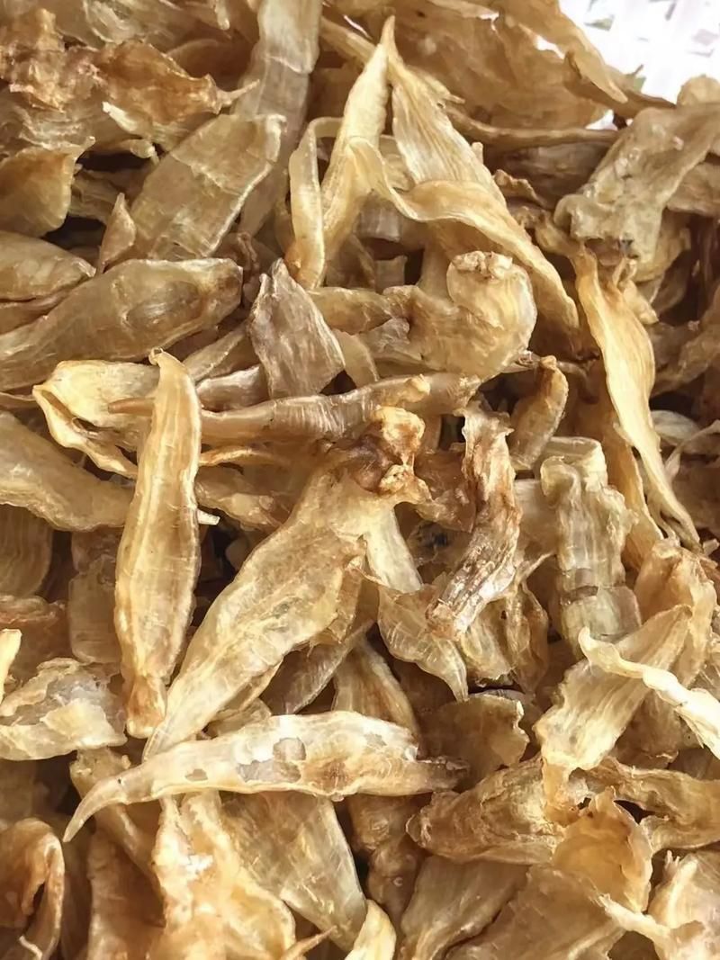 小金龍魚膠圖片