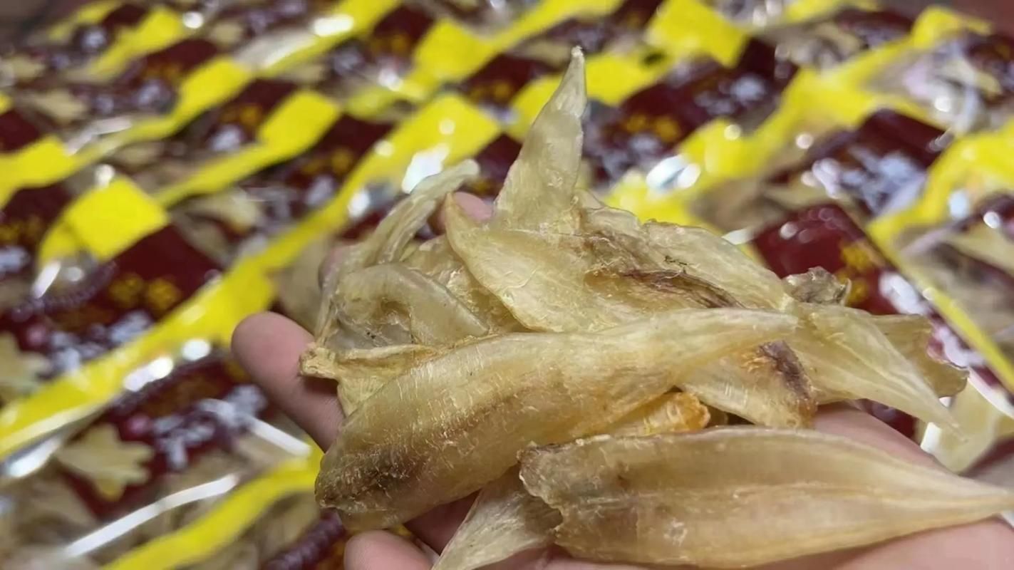 小金龍魚膠圖片