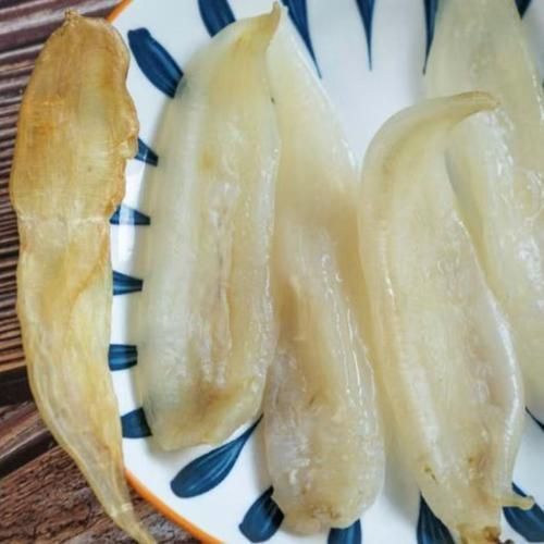 小金龍魚膠圖片