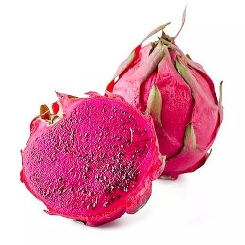 紅龍果和澳龍哪個(gè)更常見？