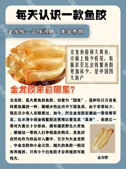如何識(shí)別金龍魚膠