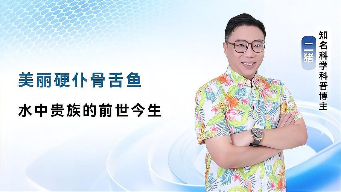 長的像龍魚的小型魚是什么魚類