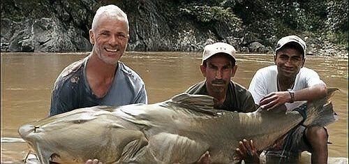 食人魚和龍魚誰厲害一點