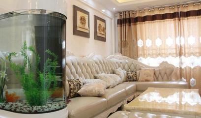 過背金龍魚為什么發色好（如何挑選優質的過背金龍魚）