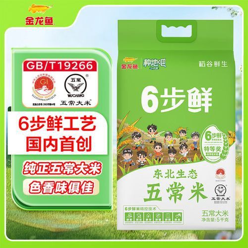 有哪些品牌的金龍魚比較推薦？