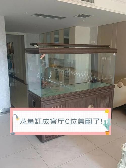 龍魚缸擺放最佳位置圖