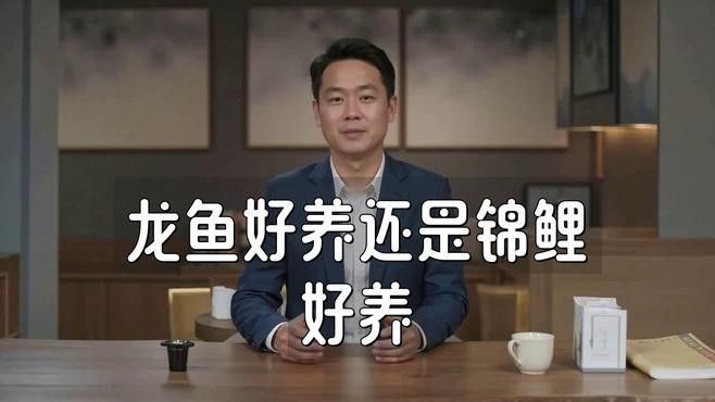 錦鯉和龍魚哪個更容易養殖？