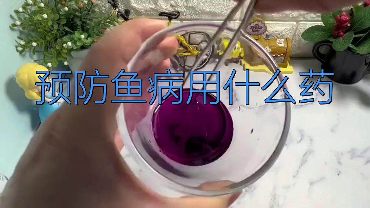 哪種預(yù)防性藥物適合龍魚？