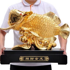 40公分長的金龍魚多少錢：金龍魚價格大揭秘,貴價金龍魚怎么飼養(yǎng)呢?