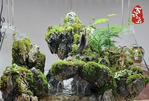 如何選擇適合龍魚缸的壁紙？