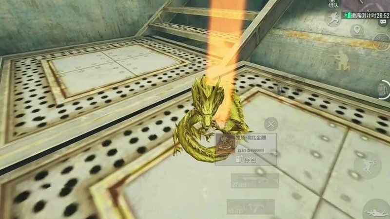 龍騰金雕和金雕的區別