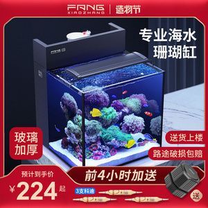 背濾魚缸適合養(yǎng)雷龍魚嗎：背濾魚缸可以養(yǎng)雷龍魚嗎