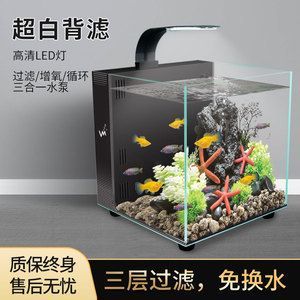 背濾魚缸適合養(yǎng)雷龍魚嗎：背濾魚缸可以養(yǎng)雷龍魚嗎