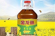 金龍魚投資有哪些成功案例？
