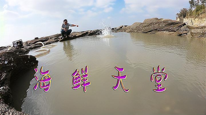 豬龍魚怎么打窩