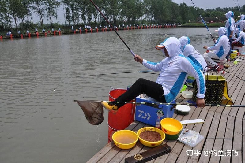 豬龍魚怎么打窩
