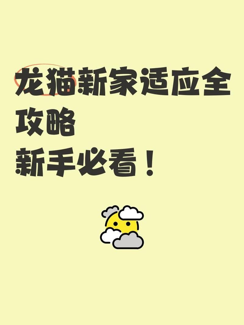 龍貓雙養需要多久的適應期？