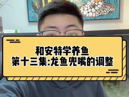 龍魚的養(yǎng)護(hù)和管理技術(shù)：養(yǎng)龍魚的注意事項(xiàng)