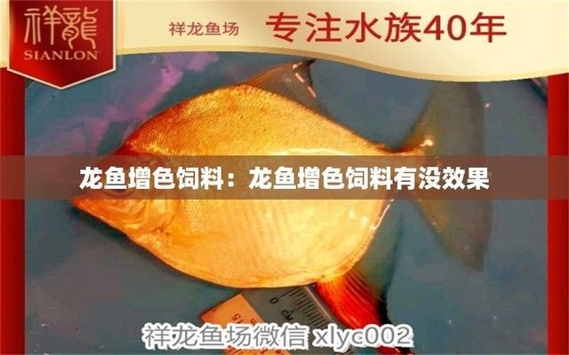 龍魚增色有什么辦法：如何幫助龍魚增色