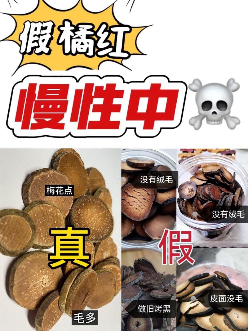 紅龍魚排行榜圖片大全高清視頻