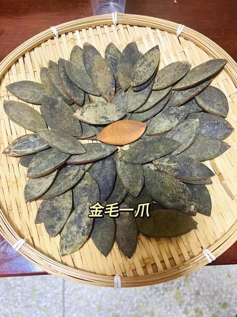 紅龍魚排行榜圖片大全高清視頻