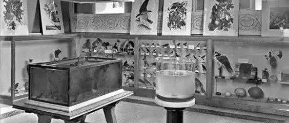 山西水鴉魚缸的起源和歷史演變