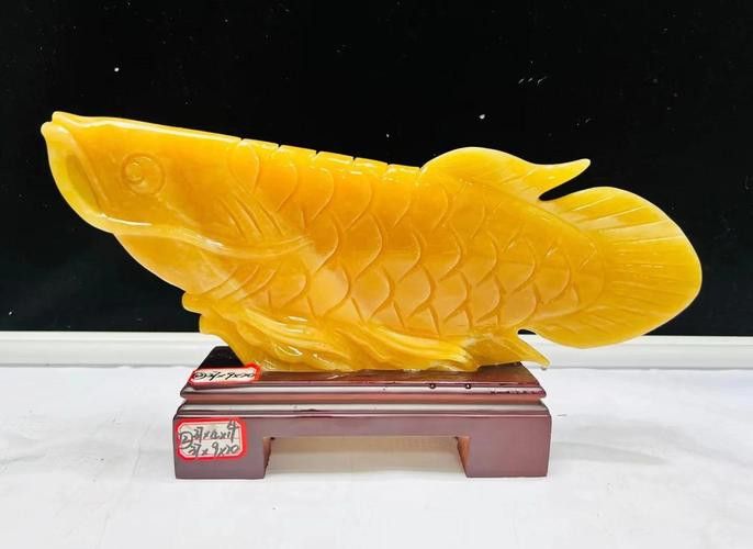 玉金龍魚(yú)圖片大全欣賞