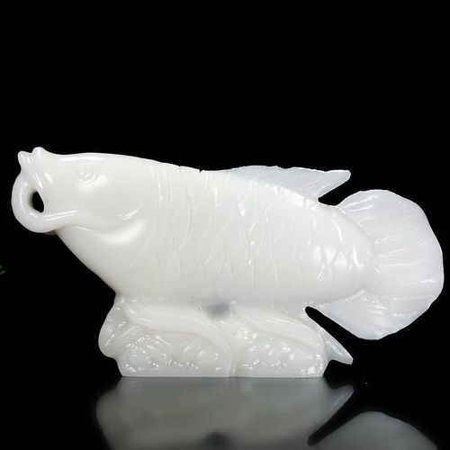 玉金龍魚(yú)圖片大全欣賞