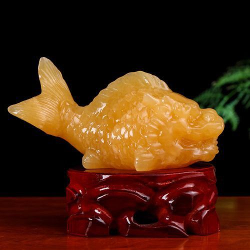 玉金龍魚(yú)圖片大全欣賞