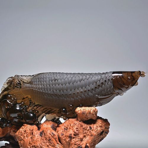 玉金龍魚(yú)圖片大全欣賞