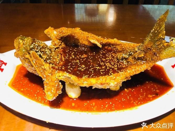 飛龍魚的照片大全