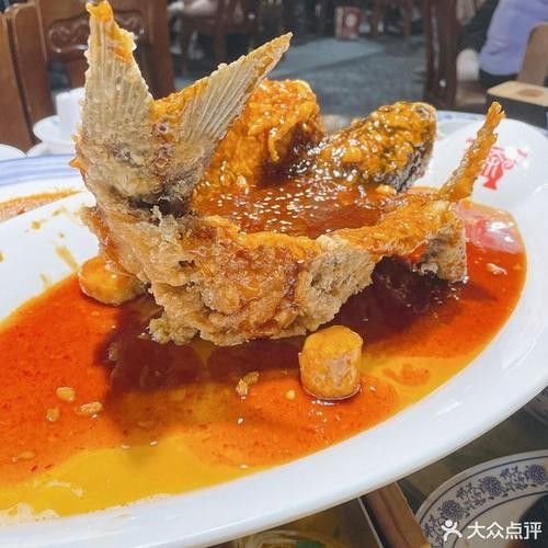飛龍魚的照片大全