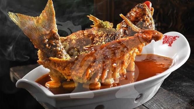 飛龍魚的照片大全
