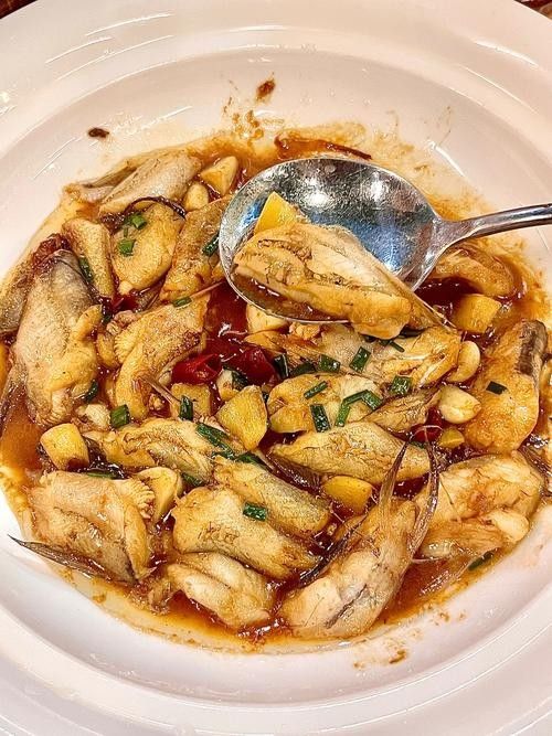 飛龍魚的照片大全