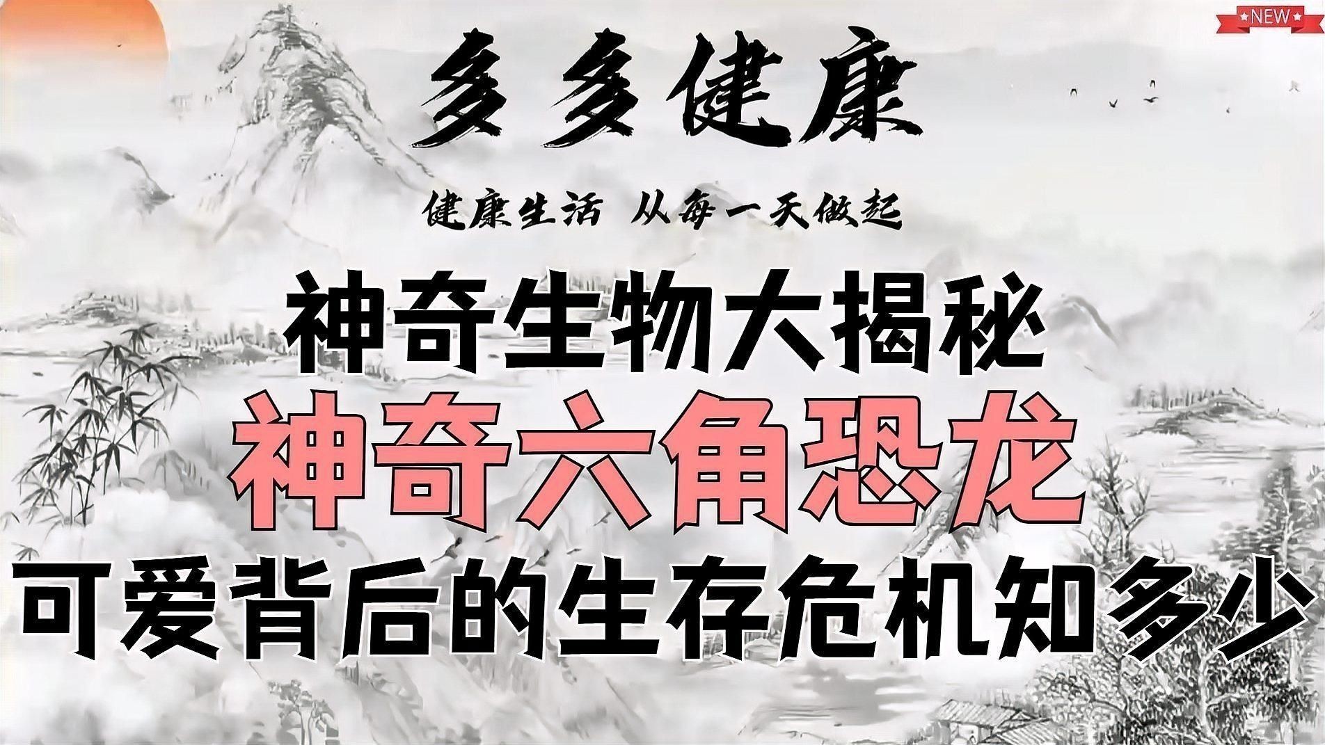 如何判斷六角恐龍是否健康？