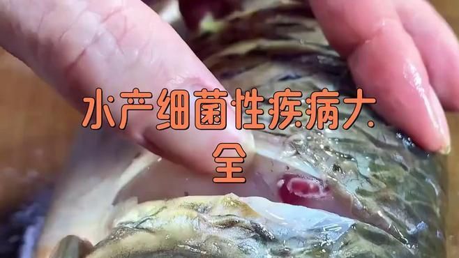 魚缸水中有哪些常見的致病細菌？