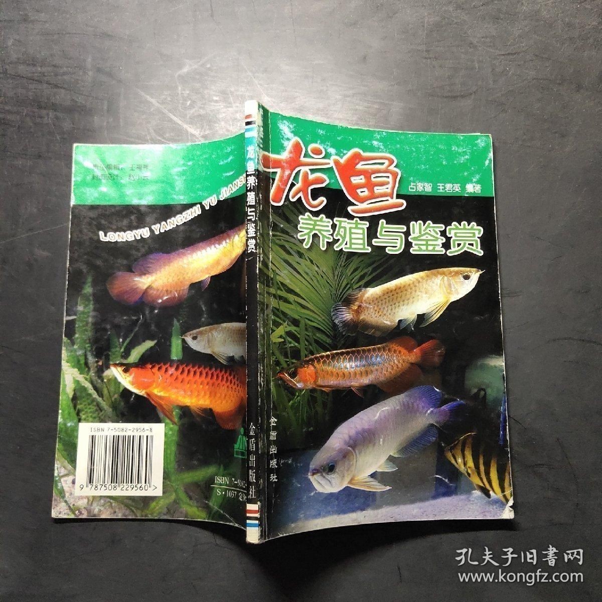 龍魚的養(yǎng)殖與鑒賞：關于龍魚養(yǎng)殖與鑒賞和鑒賞和鑒賞龍魚的詳細信息