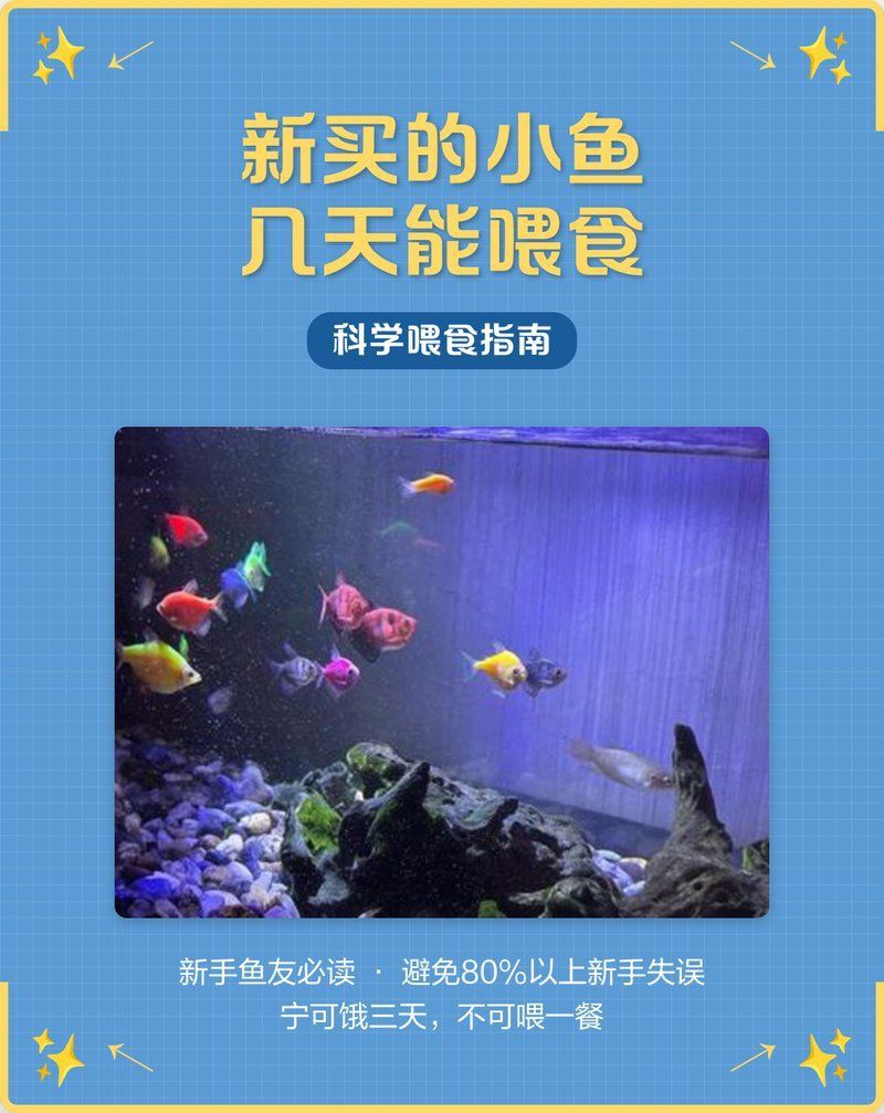 魚浮頭后需要多久才能喂食？