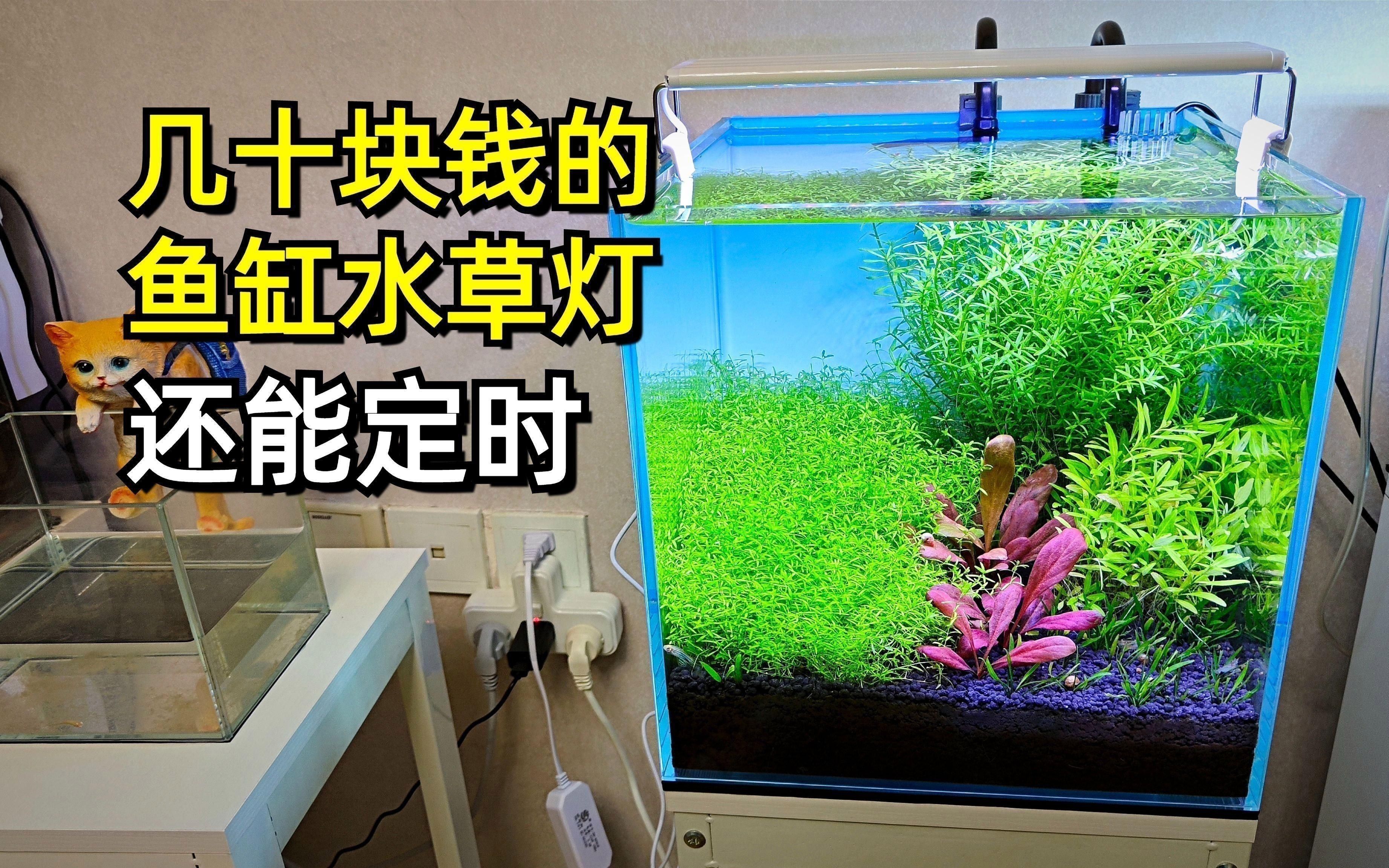 哪個牌子的水草燈好又便宜