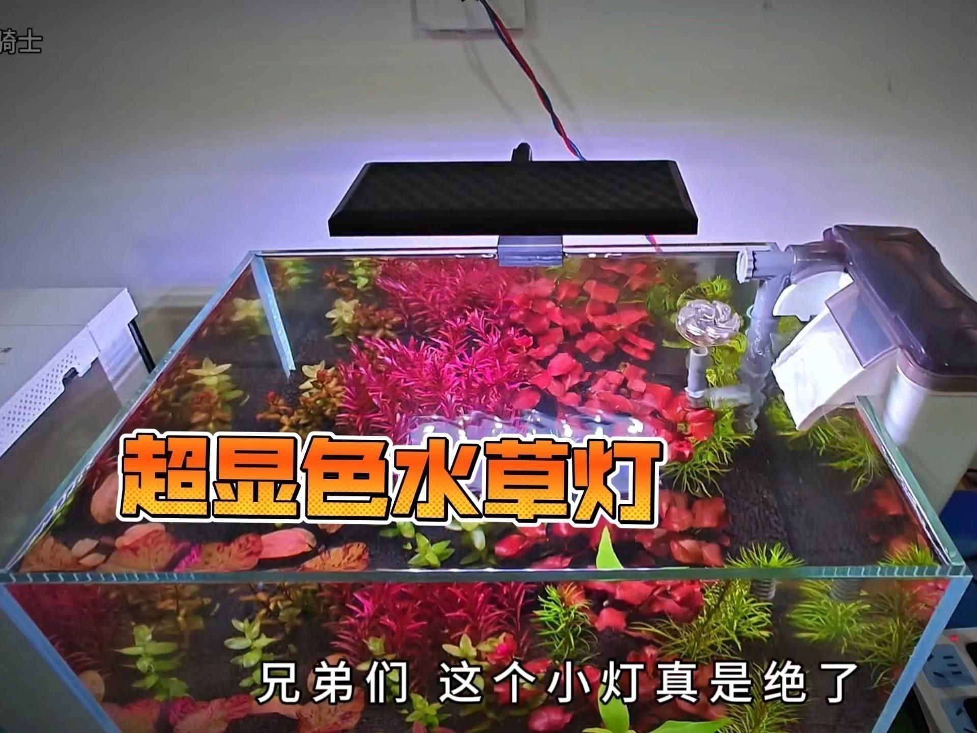 哪個牌子的水草燈好又便宜