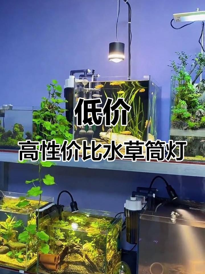 哪個牌子的水草燈好又便宜