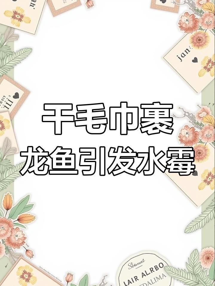 如何判斷龍魚是否患有水霉病？